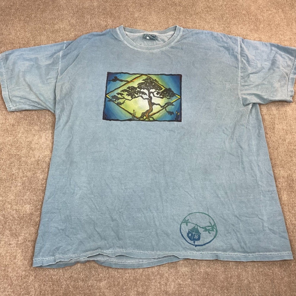 Comfort Colors T-Shirt Mens 2XL Blue Graphic Print Casual Short Sleeve Pullover